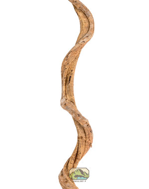 Newcal Pet NewCal Liana Vine (Rosca) Thin