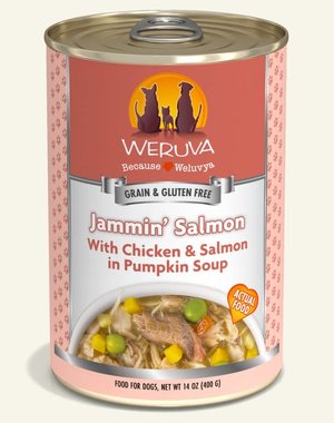 WeRuVa Weruva Dogs in the Kitchen Jammin' Salmon With Chicken & Salmon In Pumpkin Soup 14oz
