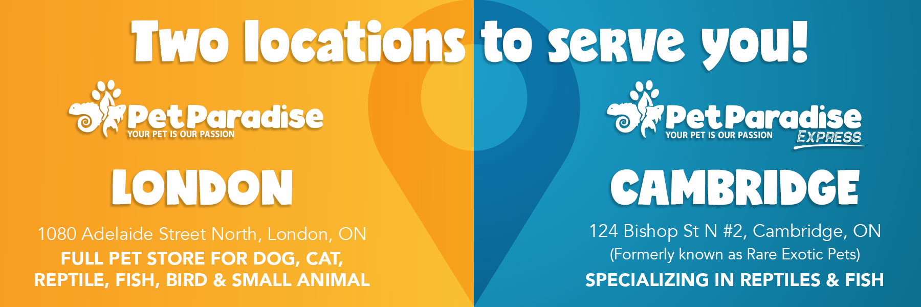 Pets, Food & Accessories Pet Paradise London, ON, CA North London