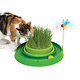 CatIt Cati It Play Circuit Ball Toy With Cat Grass