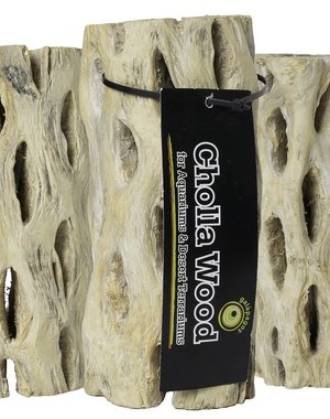 Galapagos Galapogos Cholla Wood Branches