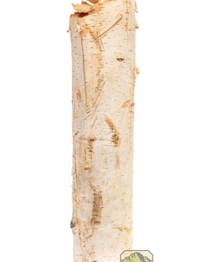 Newcal Pet NewCal Birch Branch