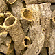 Jurassic Reptile Products Cork Bark Tube Sized