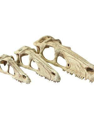 Komodo Products Komodo Raptor Skull