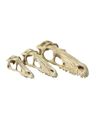 Komodo Products Komodo Raptor Skull