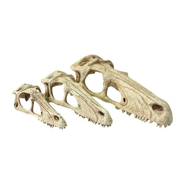 Komodo Products Komodo Raptor Skull
