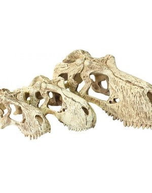Komodo Products Komodo T-Rex Skull