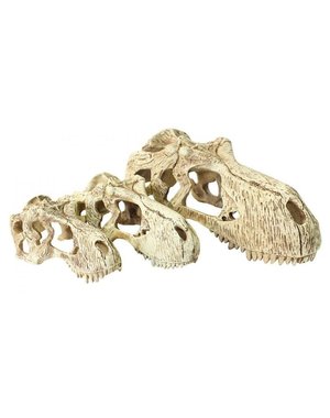 Komodo Products Komodo T-Rex Skull