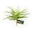 Zoo Med Laboratories Zoo Med Naturalistic Flora Lace Fern