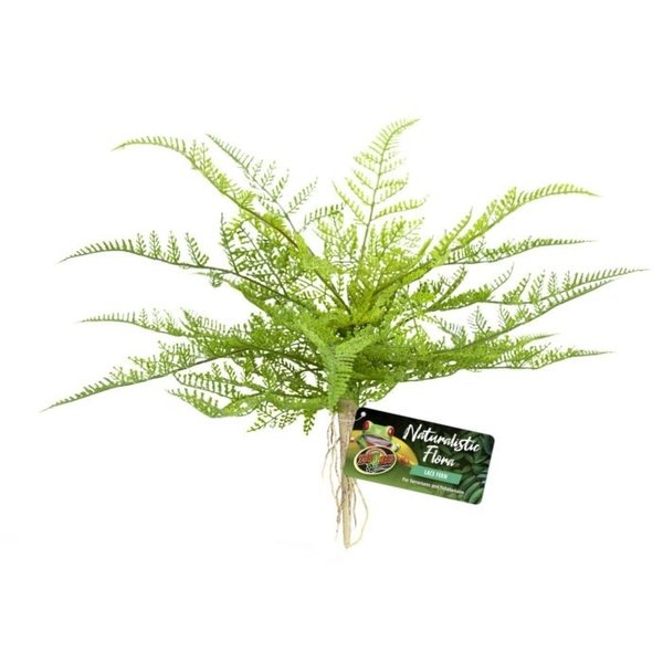 Zoo Med Laboratories Zoo Med Naturalistic Flora Lace Fern