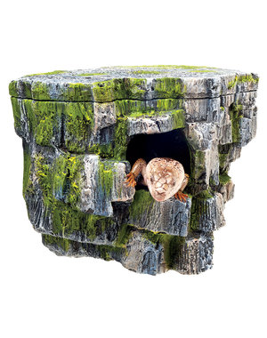 Zilla Zilla Rock Cave