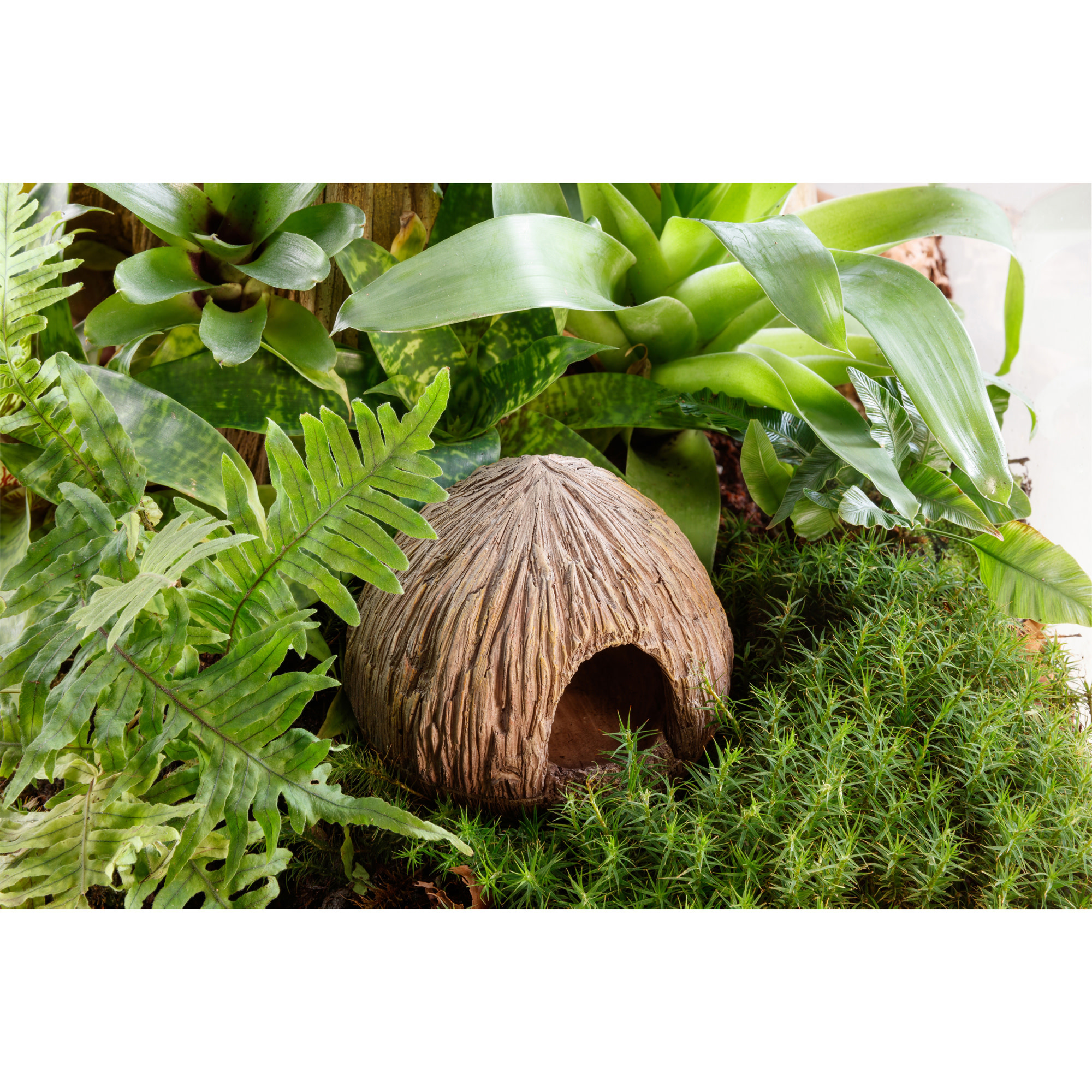 Exo Terra Coconut Cave Nesting & EggLaying Hide Pet Paradise