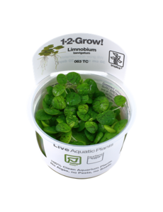 Tropica Tropica 1-2-Grow! Limnobium laevigatum