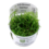 Tropica Tropica 1-2-Grow! Helanthium tenellum "Green"