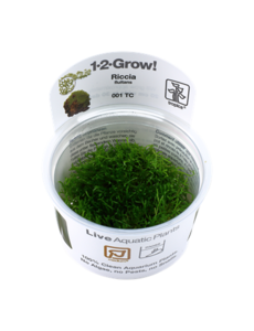 Tropica Tropica 1-2-Grow! Riccia fluitans