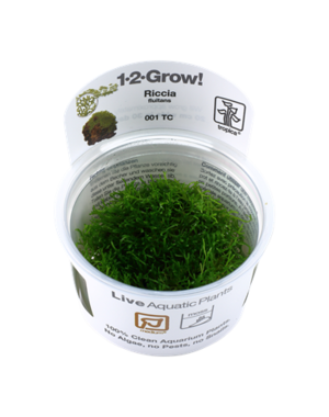 Tropica Tropica 1-2-Grow! Riccia fluitans