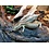 Occelated Skink