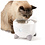 CatIt Catit PIXI Smart Drinking Fountain