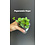 2.5" Peperomia Hope