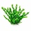 Aquatop AQUATOP Artificial Plant W/ Weighted Base -Anacharis-Like (Green)