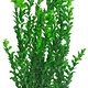 Aquatop AQUATOP Large Artificial Plant W/ Weighted Base -Light Green Medium Leaf 25"