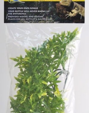 Zoo Med Laboratories Zoo Med Naturalistic Flora - Bolivian Croton