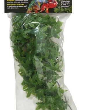 Zoo Med Laboratories Zoo Med Naturalistic Flora - Congo Ivy