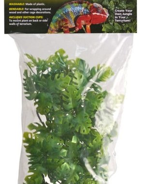 Zoo Med Laboratories Zoo Med Naturalistic Flora - Amazonian Phyllo