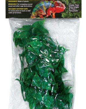 Zoo Med Laboratories Zoo Med Naturalistic Flora - Mexican Phyllo