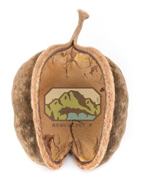 Newcal Pet NewCal Buddha Nut