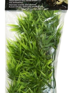 Zoo Med Laboratories Zoo Med Naturalistic Flora - Madagascar Bamboo