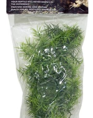 Zoo Med Laboratories Zoo Med Naturalistic Flora - Cashuarina