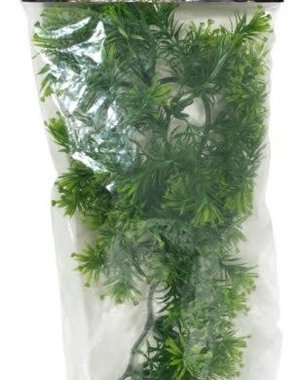 Zoo Med Laboratories Zoo Med Naturalistic Flora - Borneo Star