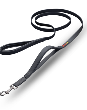 SmellyDogz SmellyDogz Double Handled Lead 3/4"- 6'