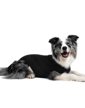 Suitical Suitical Recovery Suit For Dogs