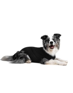 Suitical Suitical Recovery Suit For Dogs