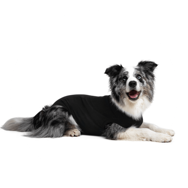 Suitical Suitical Recovery Suit For Dogs