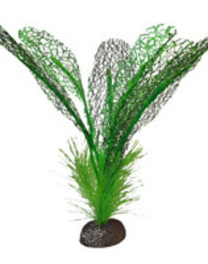 Fluval Betta Premium Madagascar Lace Plant, 6 in