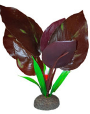 Fluval Betta Premium Red Lizard Plant, 6 in / 15 cm