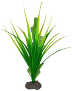 Fluval Betta Premium Yellow Parrot Plant, 8 in