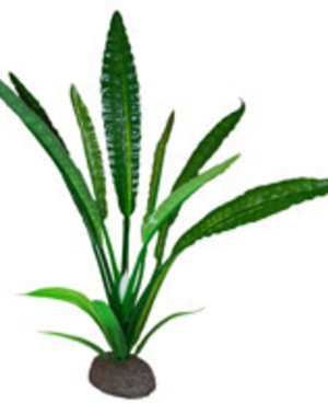 Fluval Betta Premium Water Trumpet Plant, 8 in