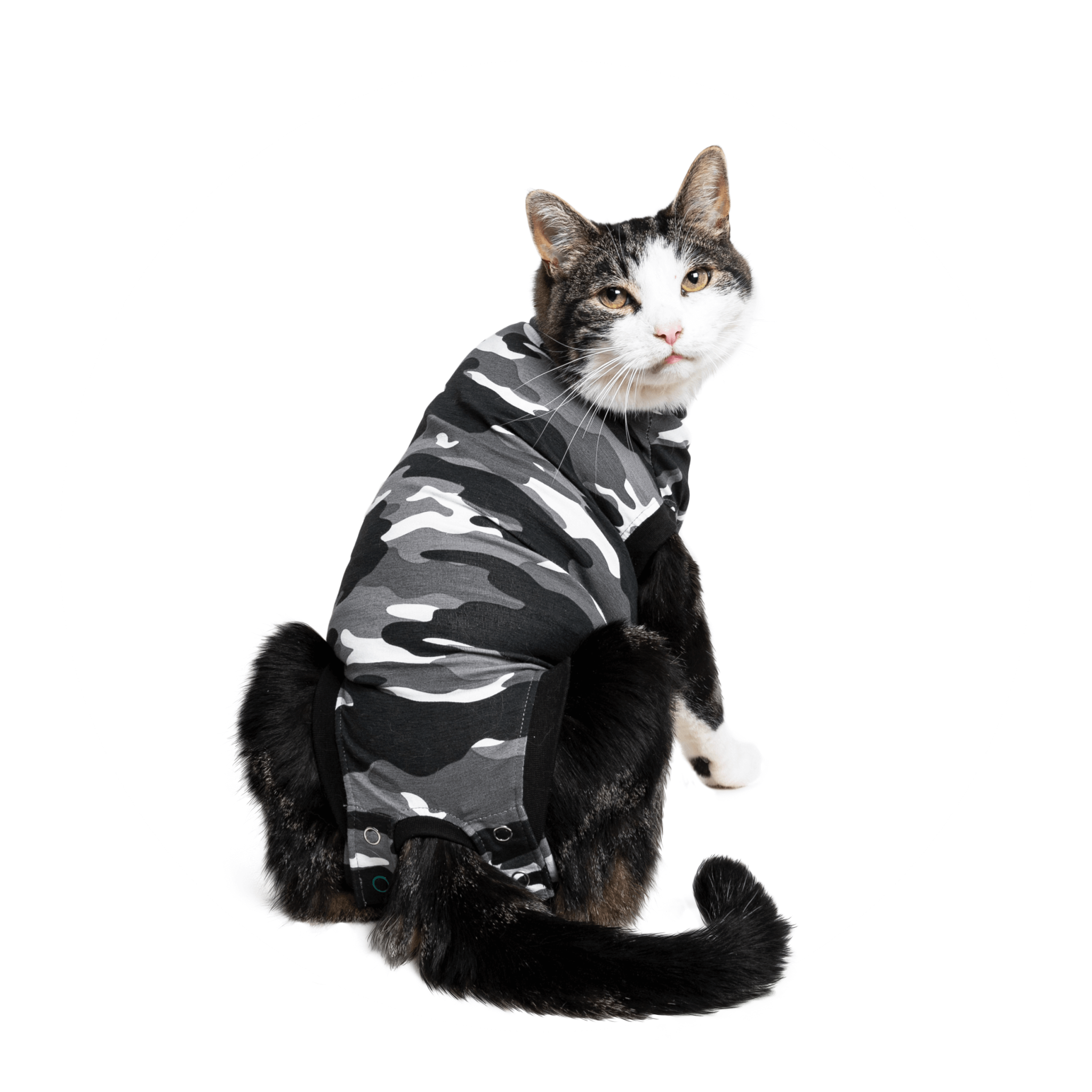 Suitical Recovery Suit For Cats - Pet Paradise