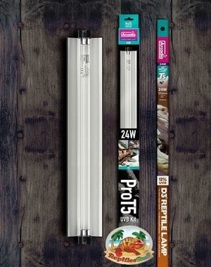 Arcadia Arcadia PRO T5 UVB Kit W/ 12% Desert Lamp