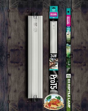 Arcadia Arcadia PRO T5 UVB Kit W/ 6% Forest Lamp