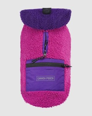 Canada Pooch Canada Pooch Cool Factor Hoodie Pink/Purple