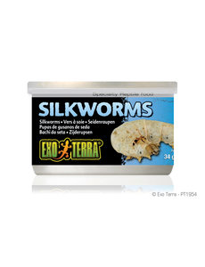 Exo Terra Exo Terra Canned Silk Worms 1.2 oz