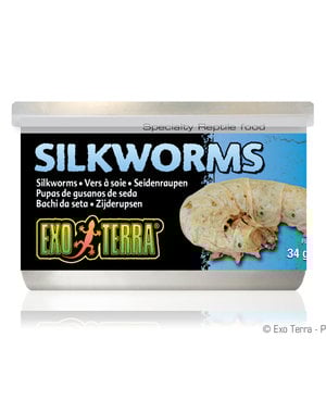 Exo Terra Exo Terra Canned Silk Worms 1.2 oz