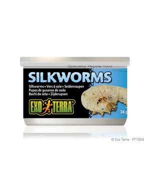 Exo Terra Exo Terra Canned Silk Worms 1.2 oz