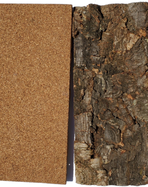 Jurassic Reptile Products Jurassic Cork Background