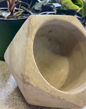 Evergarden Evergarden Ceramic Geo Pot 5"